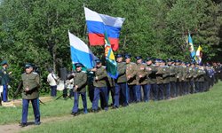 Бессмысленное войско Фотография предоставлена сайтом www.amisharin.ru
